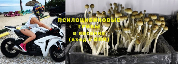 бутират Надым