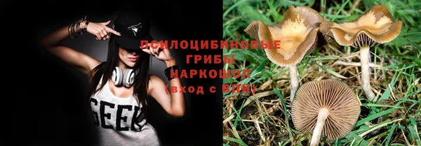 бутират Надым