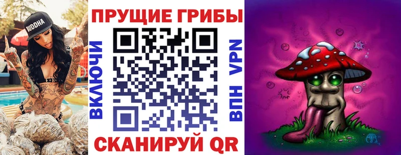 Псилоцибиновые грибы Psilocybe купить закладку Дербент