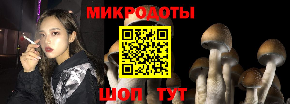 Галлюциногенные грибы мицелий  Дербент 